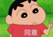 实用的表情包丨同意~